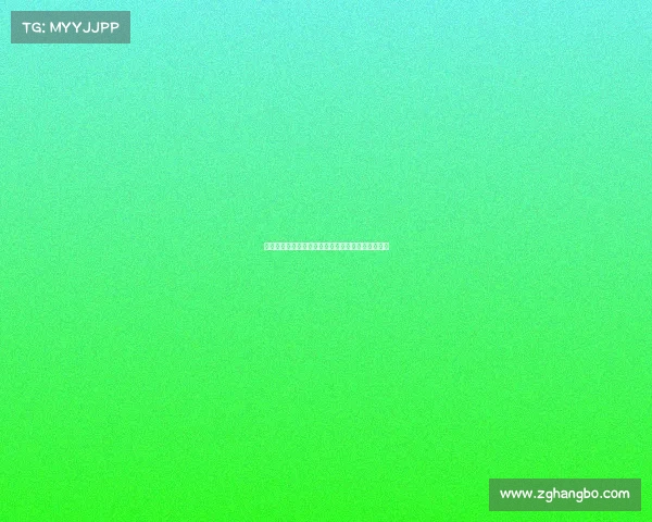 马拉松赛事总监的使命挑战幕后故事与成功经验分享